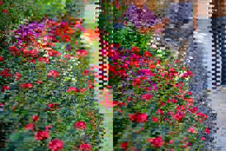 Secret Rooftop Gardens Offer Urban Oasis Above the City’s Bustling Streets